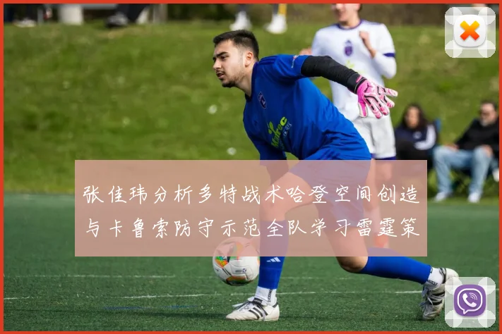 张佳玮分析多特战术哈登空间创造与卡鲁索防守示范全队学习雷霆策略