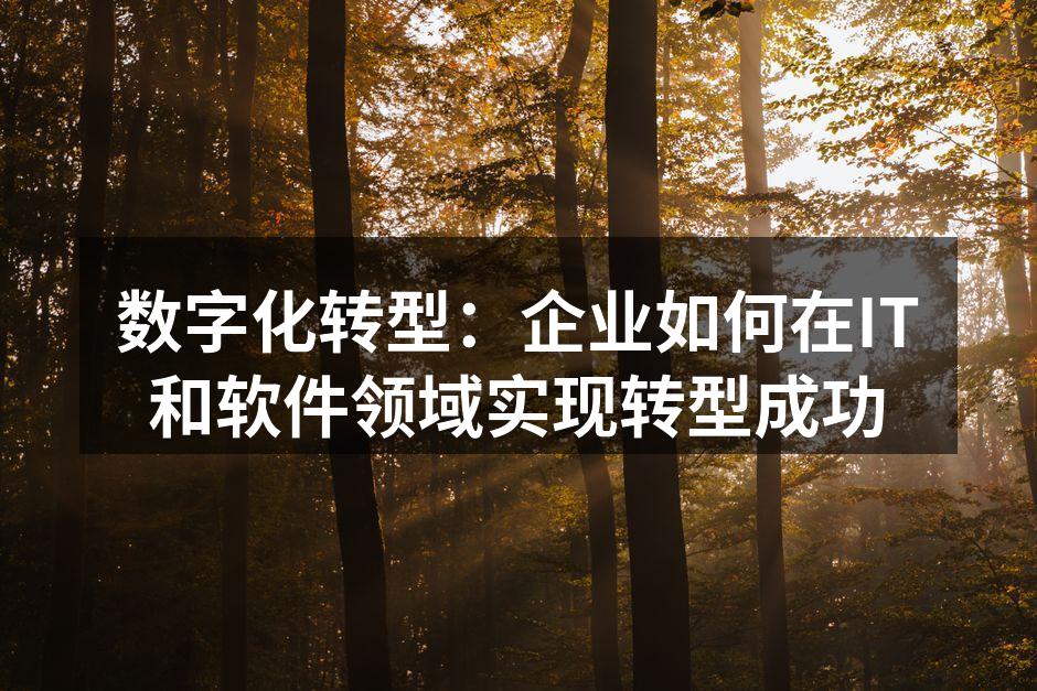 数字化转型:企业如何在IT和软件领域实现
