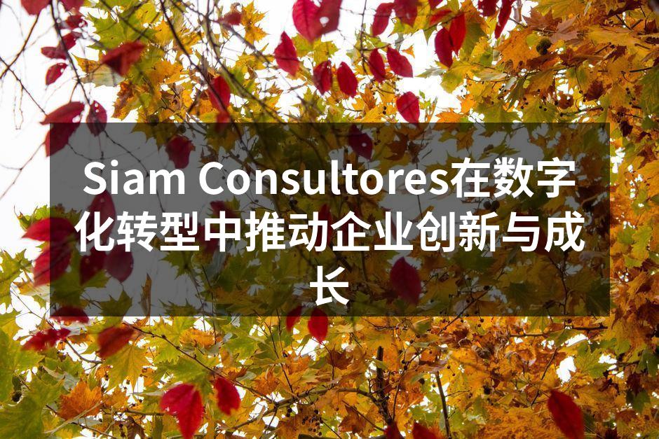 Siam Consultores在数字化